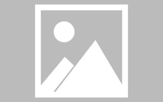 府谷类目查询素材网站（类目查询素材网站有哪些）